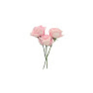 Meet your Posher, Chloe